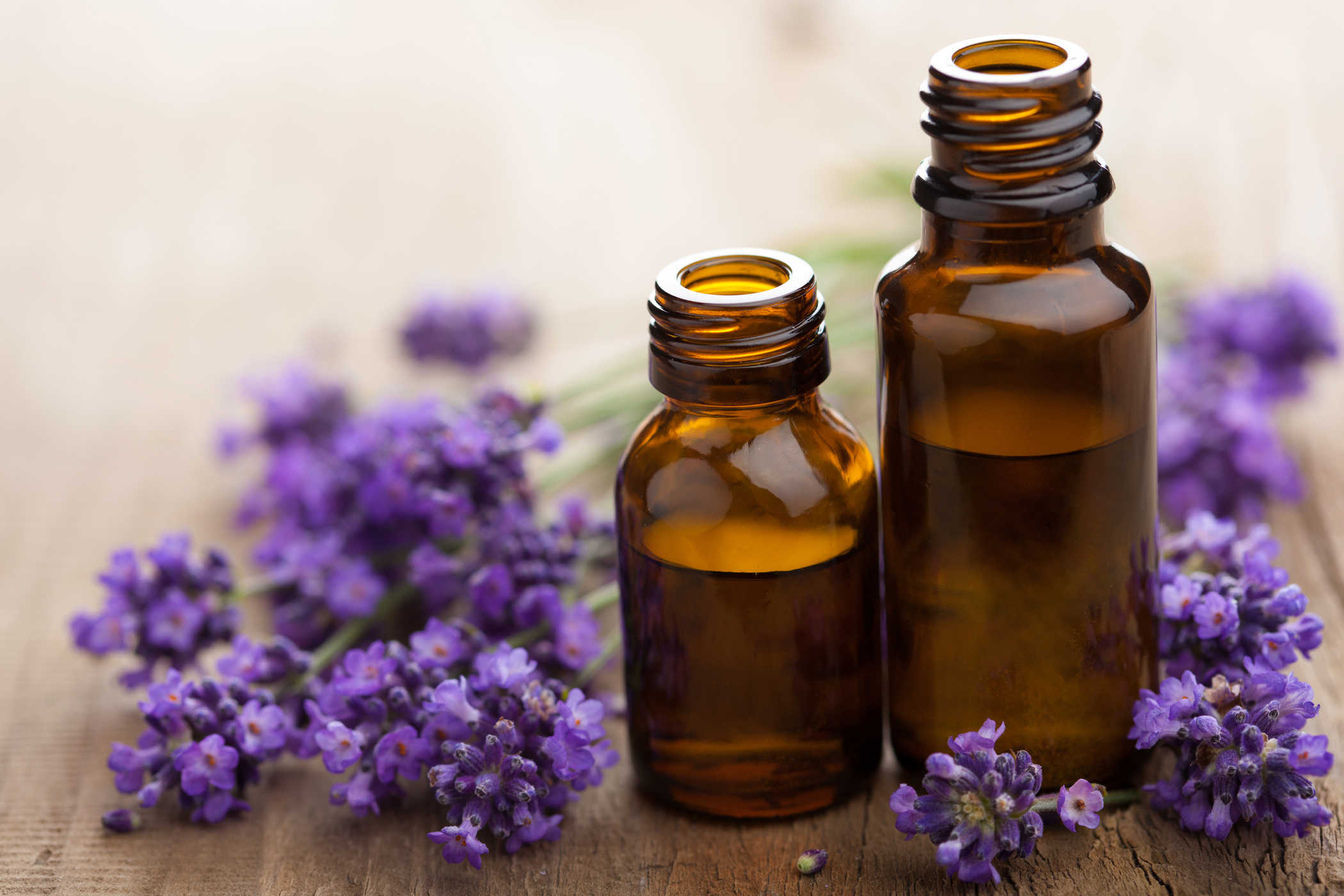 Bổ sung hương thơm, kích thích khứu giác và các giác quan Bổ sung hương thơm, kích thích khứu giác và các giác quan