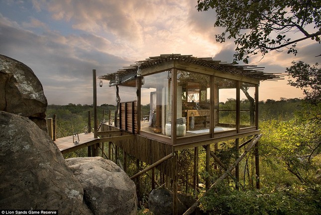 Phòng tắm The Kingston Tree khách sạn Lion Sands Game Reserve ở Nam Phi với kiểu thiết kế "hòa mình giữa thiên nhiên" với mức giá 608 bảng Anh mỗi đêm.