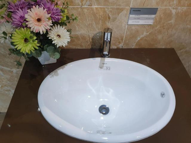 Chậu rửa mặt dương vành