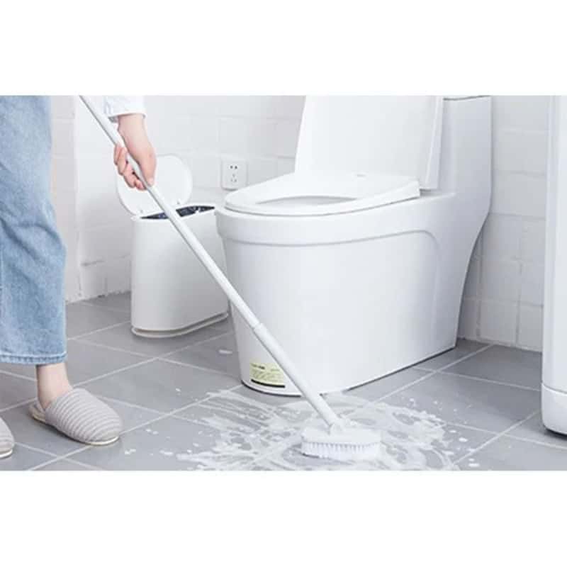 Làm sao để gián không quay lại sau khi đã đuổi sạch?