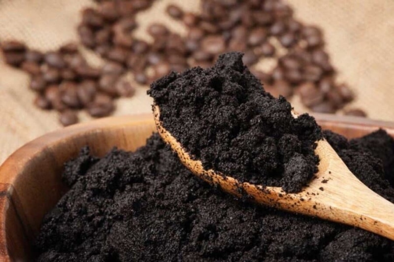 Mẹo đuổi gián bằng bã cà phê