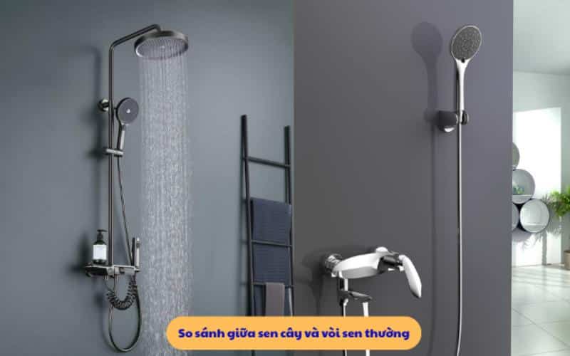 So sánh sen cây và vòi sen thường có điểm gì khác nhau