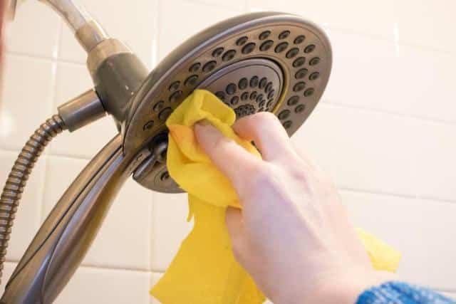 Cách vệ sinh sen cây