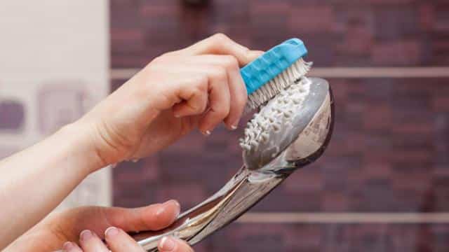 Hướng dẫn cách vệ sinh sen cây