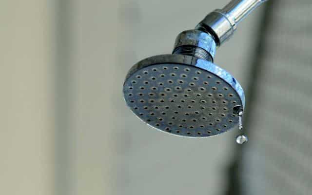 Vấn đề thường gặp ở sen cây