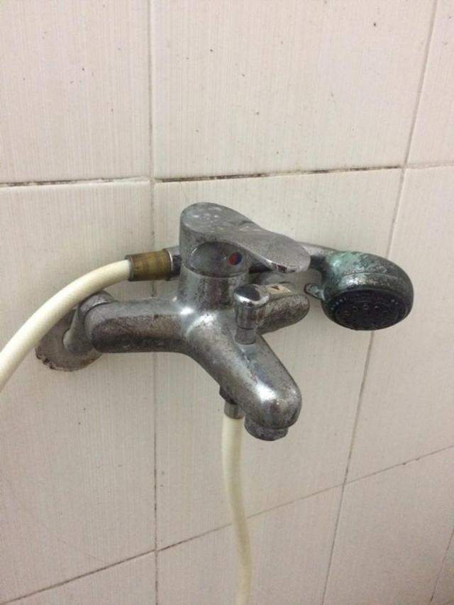 Vết ố vàng hoặc loang trên thân sen